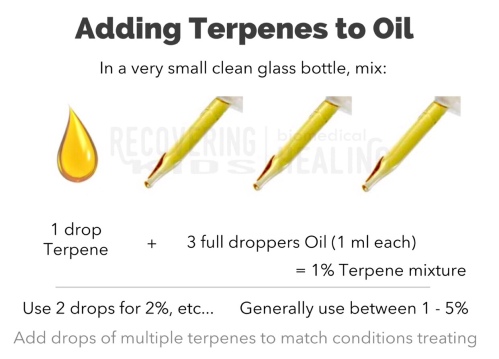 Adding Terpenes to CBD Oil - Recovering Kids Blog